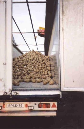 Sàn trượt tự đổ gắn container chở nông sản