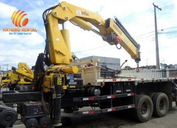 ARTICULATED CRANES 20 TON