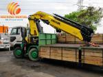 ARTICULATED CRANES 30TON