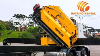 ARTICULATED CRANES 30TON